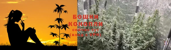 стаф Богданович