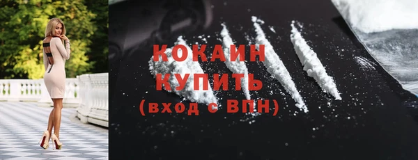 стаф Богданович