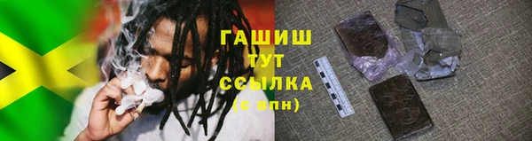 стаф Богданович