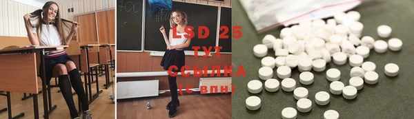 стаф Богданович