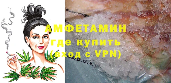 стаф Богданович