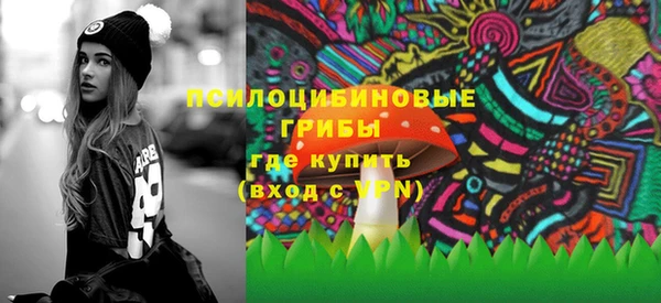 скорость Богородицк