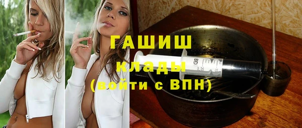 стаф Богданович