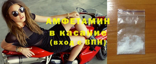 стаф Богданович