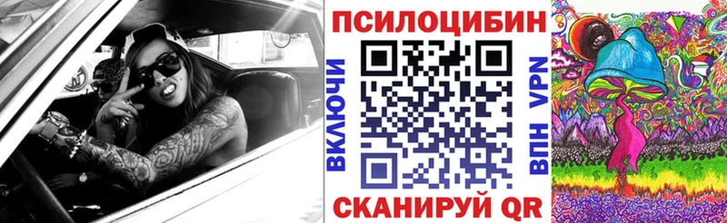 где продают   Малоярославец  Псилоцибиновые грибы GOLDEN TEACHER 
